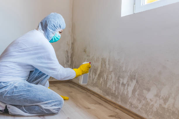 Hvac And Air Duct Mold Remediation inspection of HVAC system in Maynard